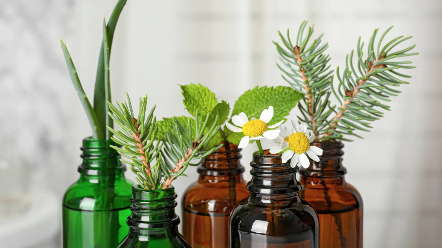 Read more about the article Benefits of Essential Oils